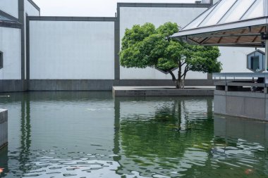 Suzhou, Çin - 12 Haziran 2024: Çağdaş binalarla çevrili dalgalı bir gölet. Gölün kenarında yalnız bir ağaç duruyor..