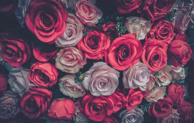 Pembe, kırmızı ve beyaz güllerden oluşan bir demet yakın plan, klasik estetik..