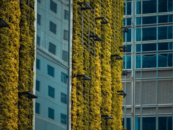 Modern cam cephesine entegre edilmiş canlı yeşil dikey bahçeli Hong Kong binasının yakın görüntüsü. Yeşillik ve mimari arasındaki zıtlık çarpıcı..