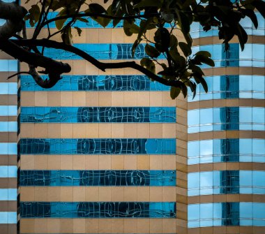 Hong Kong 'un yükselen gökdelenleri, mimari tarzların bir karışımı.