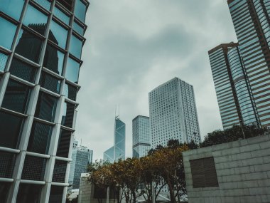 Hong Kong 'daki modern gökdelenlerin alçak açılı görüntüsü bulutlu bir günde. Ağaçlar ve taş yapılar ön planda görülebilir..