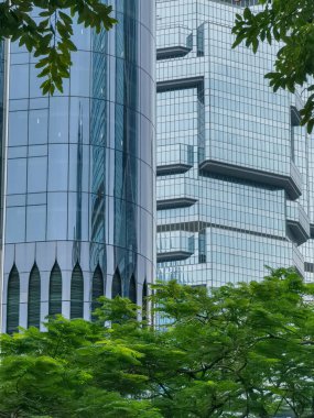 Close-up view of modern glass skyscrapers in Hong Kong, partially obscured by lush green foliage.  The architecture is sleek and contemporary, reflecting the city's dynamic energy. clipart