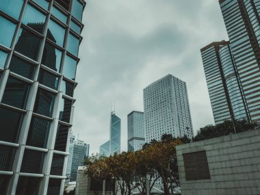 Bulutlu bir gökyüzünün altında, Hong Kong 'daki modern gökdelenlerin alçak açılı yakın görüntüsü. Ağaçlar ve taş yapılar ön planda görülebilir..