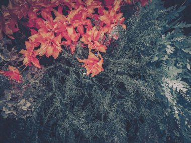 Turuncu ve diğer soluk renklerdeki yapay çiçekler karanlık bir ortamda karamsar bir çiçek düzeni oluşturur..