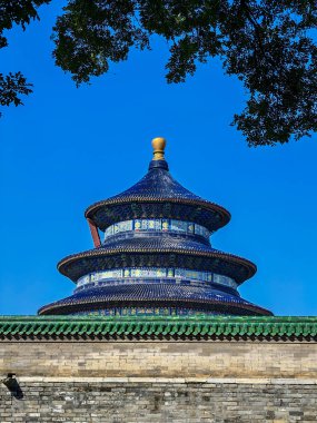 Pekin, Çin - 14 Eylül 2025: Cennetin çok katmanlı mavi çatısının açık bir gökyüzü ve yeşil dallar tarafından çerçevelenmiş altın bir finali ile tarihi tapınağı.