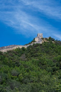 Pekin, Çin - 18 Eylül 2025: Çin Seddi 'nin ikonik bir bölümü, Pekin yakınlarındaki açık mavi bir gökyüzünün altındaki yemyeşil dağların üzerinde süzülüyor. Tarihi bir mucize..