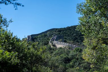 Pekin, Çin - 18 Eylül 2025: Tarihi Çin Seddi Pekin yakınlarındaki yemyeşil dağların arasından esiyor, açık bir gökyüzü altında antik mühendislik sergiliyor..