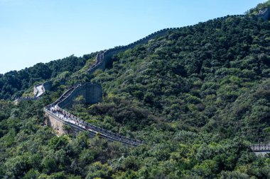 Pekin, Çin - 18 Eylül 2025: Pekin yakınlarındaki tarihi bir mucize olan Çin Seddi, berrak bir gökyüzü altındaki yemyeşil dağların arasından esiyor, zamansız bir dönüm noktası..