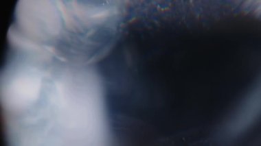 Light Sızdırıyor 6K Farklı olaylar ve projeler için görüntüler. Şimdiki görüntülerinizin üzerine bırakın, Ekle ya da Ekran Karıştır kiplerini kullanarak birleştirin. Optik parlaklık lensi Bokeh geçişi arkaplanı örtüyor