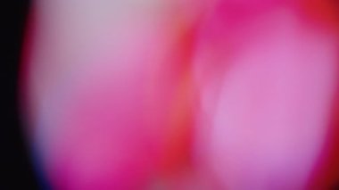 Işık, soyut 4K görüntülerini sızdırır. Yanıp sönen çember mercek parıltısı bokeh, bulanık renk arkaplanının odaklanmamış doğal animasyonunu örtüyor. Çekimleriniz üzerinde birleştirme, videoyu biçimlendirme, geçişler