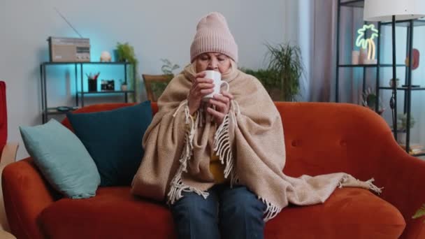 借金を加熱することなく 加熱されていないアパートで熱いお茶を飲むソファの上で寒さから震えを再生病気のシニア祖母の女性 不健康な高齢年金受給者が不快感を感じて温暖化しようとします — ストック動画