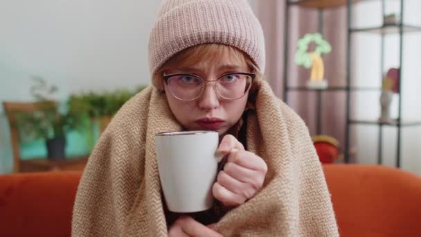 病気の若い女性は 熱いアパートで熱いお茶を飲むソファの上で冷たいから単独で震え座っ再生に包まれた帽子を着用します 不快感を感じる眼鏡の不健康な女の子は 自宅の部屋で暖まるしようとします — ストック動画