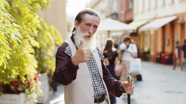 Gibi Mutlu Sakallı Yaşlı Adam Onaylayıcı Bir Şekilde Kameraya Bakıyor — Stok video
