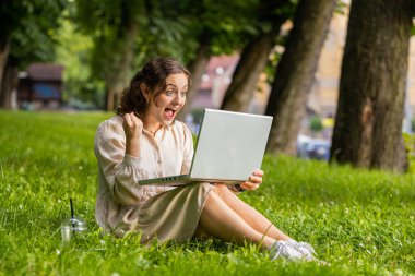 Dizüstü bilgisayarlı neşeli genç kadın sevinçle çığlık atıyor zafer jesti olarak ellerini kaldırıyor başarıyı kutluyor piyangodan para kazanıyoruz. Şehir parkında çimlerde oturan heyecanlı kız internetten iyi haberler alıyor.