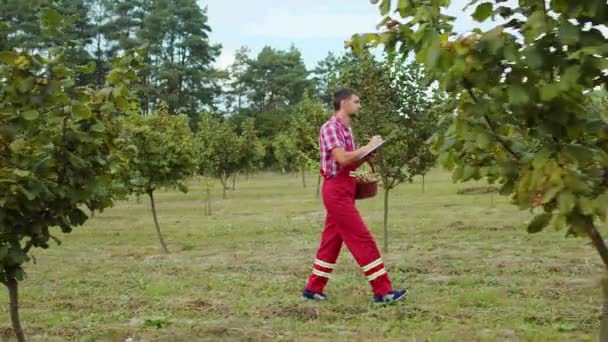 Kaukasisk Manlig Bonde Som Analyserar Hasselnötsträdens Kvalitet Och Antecknar Detta — Stockvideo