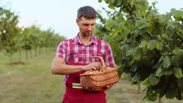 Beyaz Erkek Çiftçi Bahçede Elinde Dolu Bir Sepetle Çiğ Fındık — Stok video