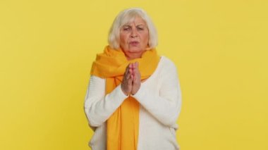 Lütfen, Tanrım yardım et. Yaşlı kadın dua ediyor, kameraya bakıyor ve dilek diliyor, umut dolu bir ifadeyle soruyor, özür diliyor, meditasyon yapıyor. Yaşlı büyükanne sarı arka planda izole edilmiş.