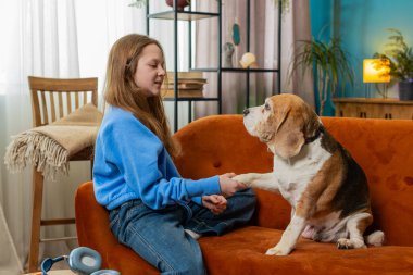 Küçük kız şirin av köpeği numaralarını öğretiyor ve eğitiyor. Kafkas çocuk evde oturuyor ve evdeki oturma odasında evcil hayvanla oynuyor. Haftasonu hayvanlarla şakalaşıp bağ kuruyorum..