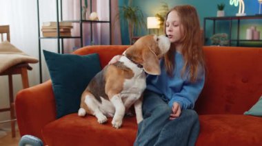 Gülümseyen genç kız çocuğu kanepede oturan sevimli av köpeğini kucaklıyor. Mutlu genç bayan hayvan sever hafta sonu evde evcil köpekle vakit geçirip, oturma odasında sarılıyor..