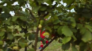 Kafkasyalı çiftçi bahçedeki fındık ağacı sıralarını analiz ediyor günlüğe not alıyor. Bahçıvan tarım uzmanı tarlada fındık tohumu yetiştiriyor. Çiftlik zamanı hasat. Sağlıklı doğal yiyecek.