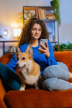Evdeki oturma odasında Corgi Dog 'un yanında akıllı telefon kullanan mutlu genç bir kadın. Kadın kız hafta sonu evde cep telefonuyla mesajlaşıyor ve sosyal medya kullanıyor. Dikey