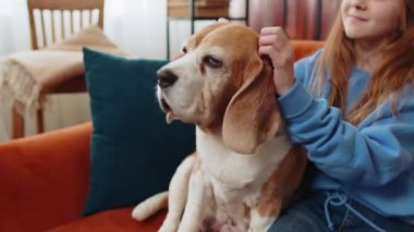 Kanepede oturan sevimli av köpeğini okşayan genç kızın yakın plan portresi. Meçhul, prematüre kadın hayvan sever evcil köpekle evde vakit geçiriyor.