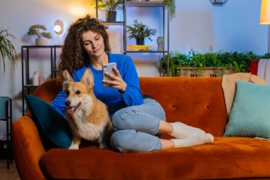 Evdeki oturma odasında Corgi Dog 'un yanında akıllı telefon kullanan mutlu genç bir kadın. Güzel bayan kız hafta sonu dairede cep telefonuyla mesajlaşıyor ve sosyal medya kullanıyor.