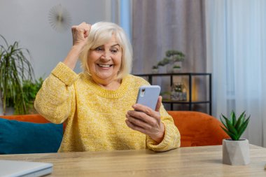 Mutlu son sınıf öğrencisi kadın cep telefonuyla yazı yazarak zaferi kutluyor, piyango başarısı kazanıyor evde iyi haberler veriyor. Yaşlı olgun büyükanne kanepede oturur.