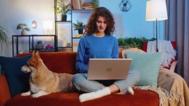 Serbest çalışan, güzel, genç ve serbest bir kız. Günlük kıyafetleri içinde, dizüstü bilgisayar kullanıyor. Oturma odasında kanepede Corgi Dog 'un yanında oturuyor. Evde internet projesi üzerinde çalışan pozitif kadın..
