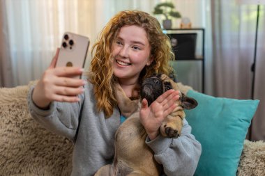 Genç beyaz blogcu kadın video görüşmesinde el sallıyor. Kanepede oturuyor, gülümsüyor ve neşeli görünüyor. Kız pug dog 'u tutarken teması selamlıyor, yanında evcil hayvanla sevimli bir anı paylaşıyor..