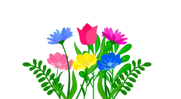 Fleurs Colorées Sur Fond Blanc — Image vectorielle