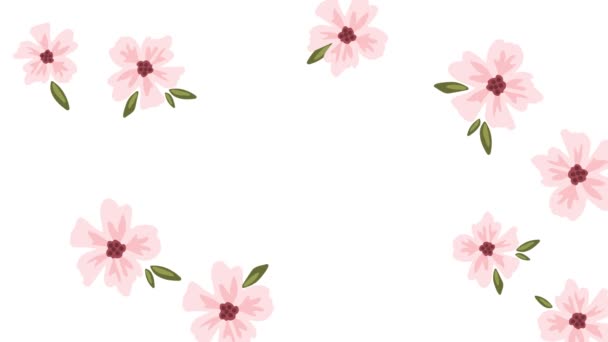 Oval Frame Delicate Sakura Flowers Floral Background Animation Spring Time — Stock Video