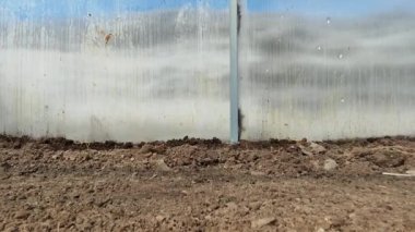 Seradaki tohumları suluyorum. Bitki yetiştiriyorum. Yere bir damla su dökülüyor. Yakın çekim videosu.