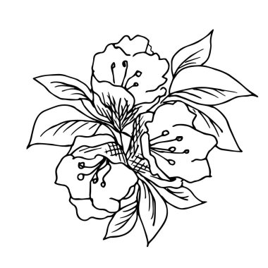 Çizim, siyah çizgili vektör çizimi. Yapraklı bir buket çiçek, bahar tatillerinin tasarımı için beyaz arka planda yapraklar, kartlar, çıkartmalar, dövmeler..