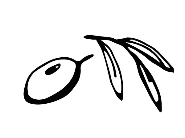 Siyah çizgili basit bir el çizimi vektör çizimi. Zeytin, yapraklar, beyaz arka planda soyutlanmış dal. Çiftçilik hasadı, vejetaryen yiyecekler, tarım, üretim. Paket tasarımı için etiket.