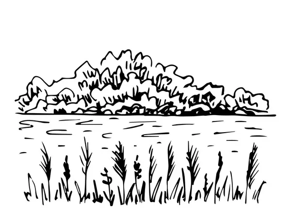 İşleme tarzında elle çizilmiş basit bir vektör çizimi. Orman gölü, vahşi doğa. Nehir kıyıları, ağaçlar, ufukta çalılar, ön planda sazlıklar. Su kuşu avı, balık avı. Doğa.