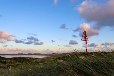Almanya 'daki Sylt Adası' nın Güzel İzlenimleri