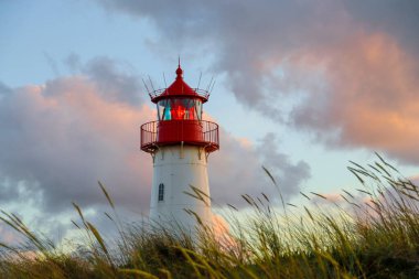 Almanya 'daki Sylt Adası' nın Güzel İzlenimleri