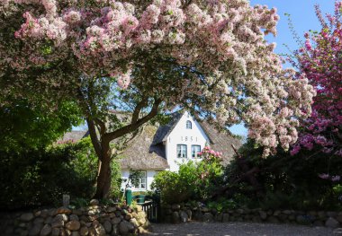 Almanya 'daki Sylt Adası' nın Güzel İzlenimleri