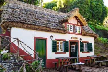 Portekiz 'deki Madeira adasının güzel taklitleri.