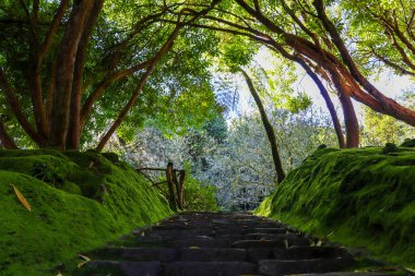 Portekiz 'deki Madeira adasının güzel taklitleri.