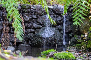 Portekiz 'deki Madeira adasının güzel taklitleri.