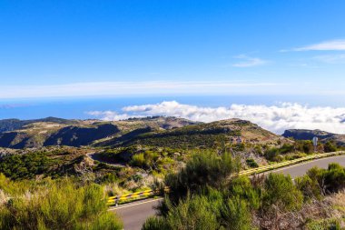 Portekiz 'deki Madeira adasının güzel taklitleri.