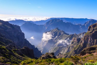 Portekiz 'deki Madeira adasının güzel taklitleri.