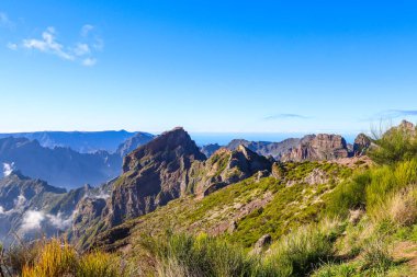 Portekiz 'deki Madeira adasının güzel taklitleri.