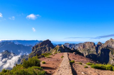 Portekiz 'deki Madeira adasının güzel taklitleri.