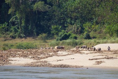 Wonderful Impressions of Laos in south east Asia