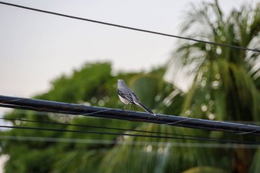 Beautiful Impressions of Yucatan in Mexico