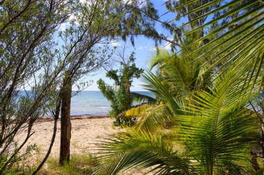 Beautiful Impressions of Yucatan in Mexico