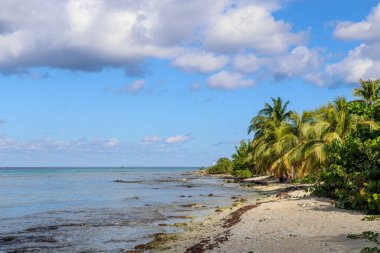 Beautiful Impressions of Yucatan in Mexico